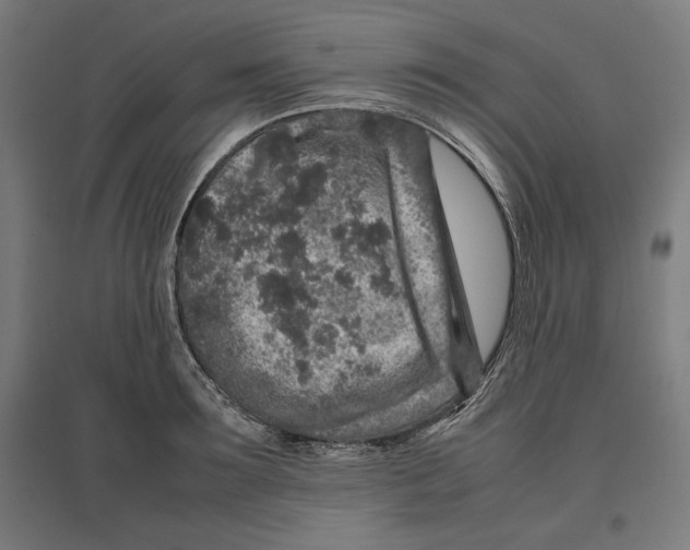 X0000096730899200803041220