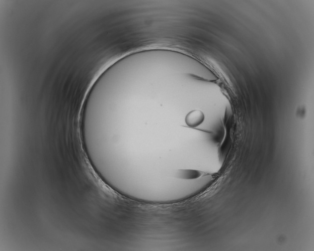 X0000096730900200803041220