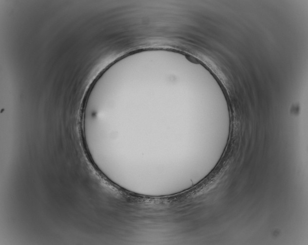 X0000096730901200803041220