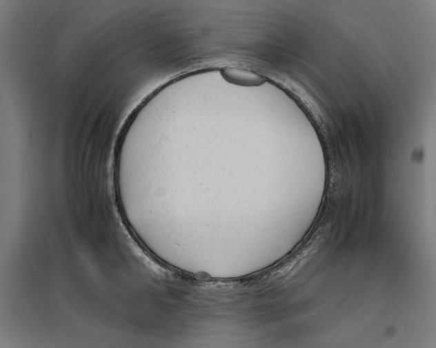 X0000096730902200803041220