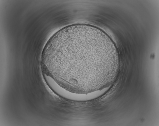 X0000096730903200803041220