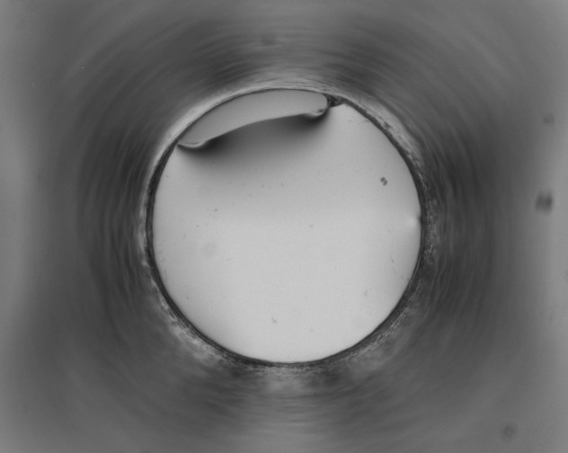 X0000096730904200803041220