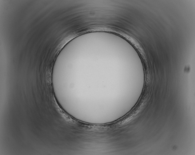 X0000096730905200803041220