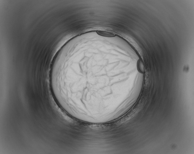 X0000096730906200803041220