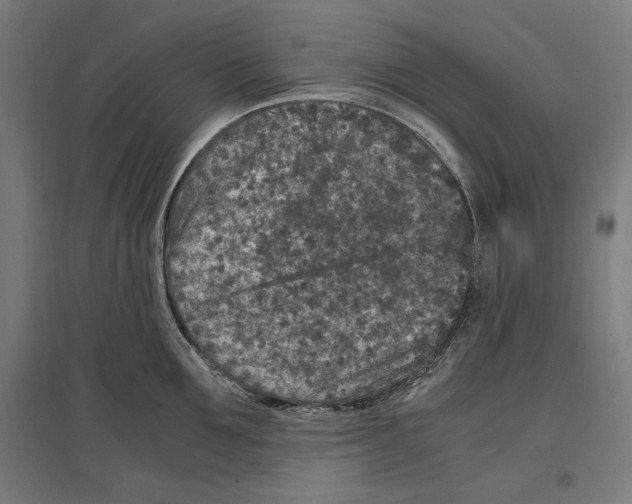 X0000096730907200803041220