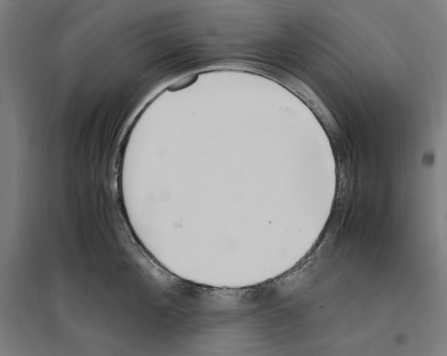 X0000096730908200803041220