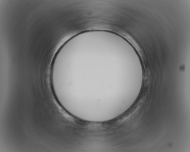X0000096730909200803041220