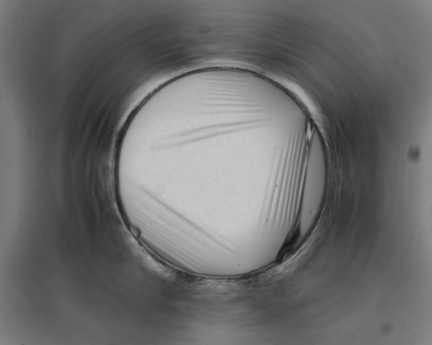X0000096730910200803041220