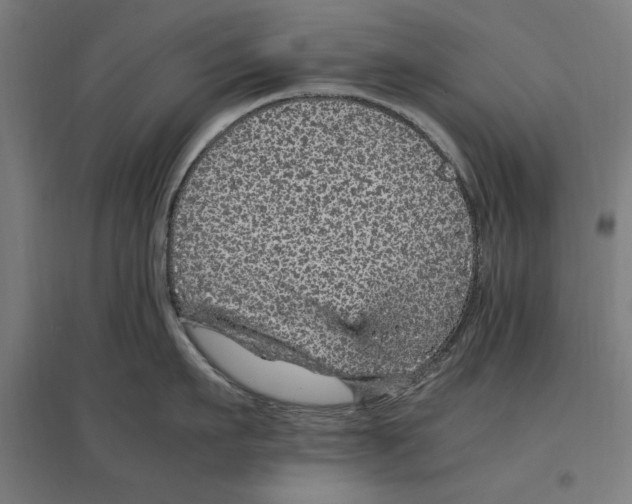 X0000096730911200803041220