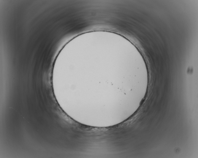 X0000096730912200803041220