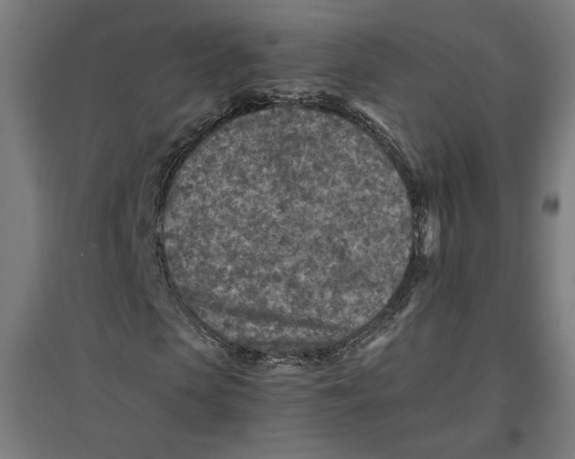 X0000096730913200803041219