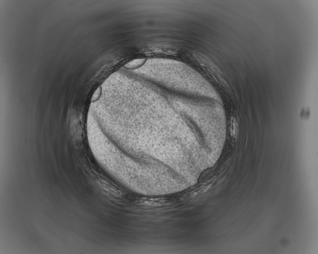 X0000096730915200803041219