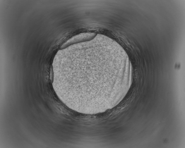 X0000096730916200803041219