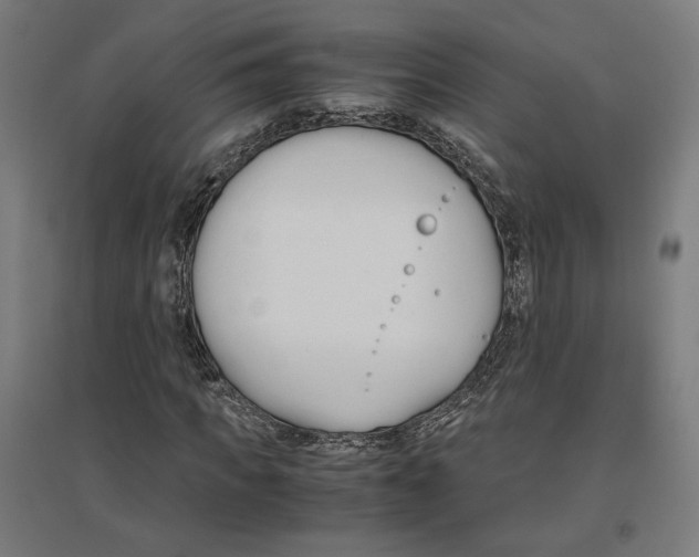 X0000096730917200803041219