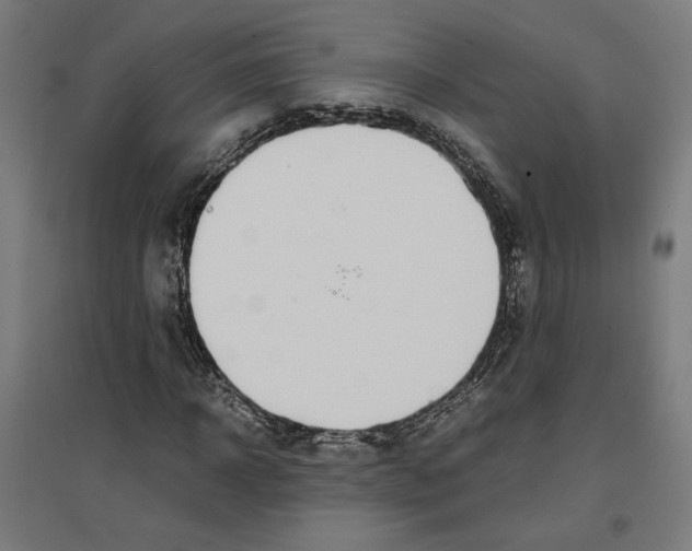 X0000096730918200803041219
