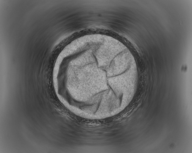 X0000096730919200803041219