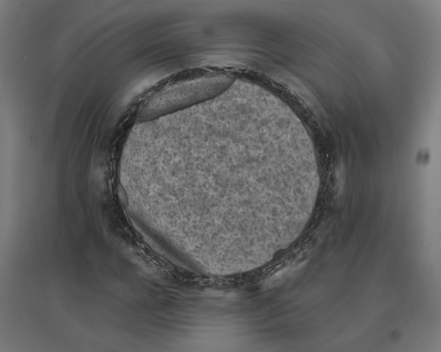 X0000096730920200803041219