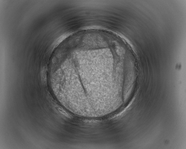 X0000096730921200803041219