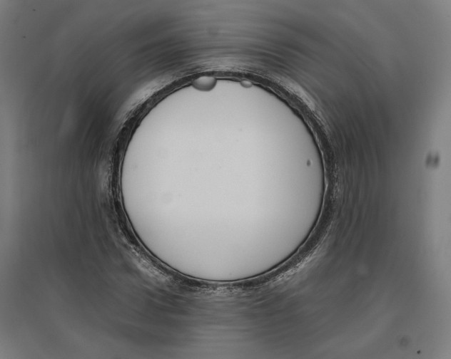 X0000096730922200803041219
