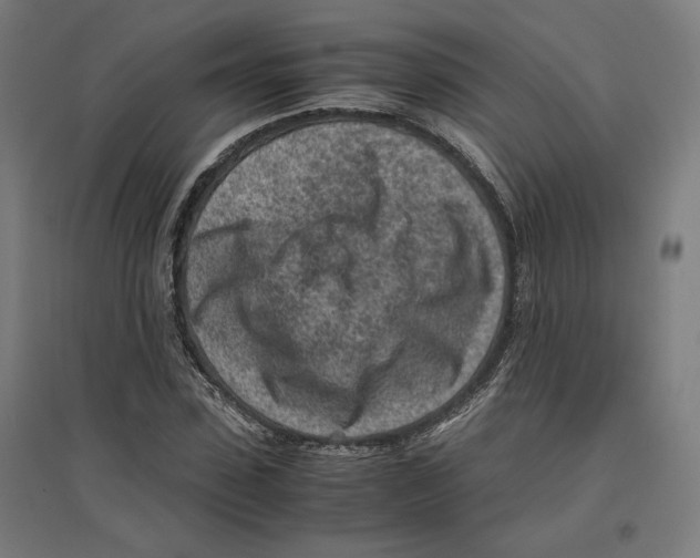 X0000096730923200803041219