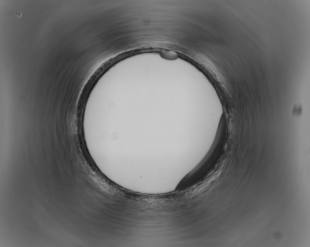 X0000096730924200803041219