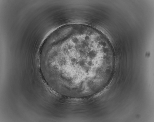 X0000096730925200803041219