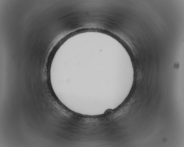 X0000096730927200803041219