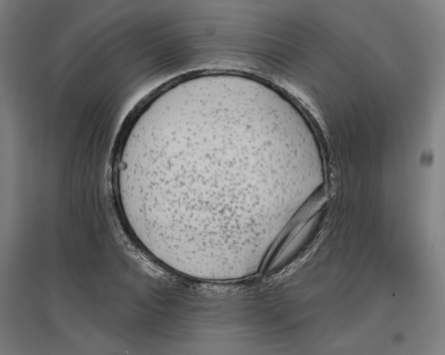 X0000096730928200803041219