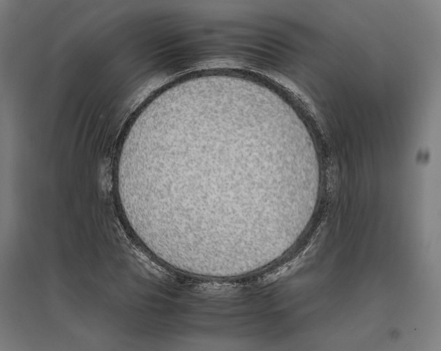 X0000096730929200803041219