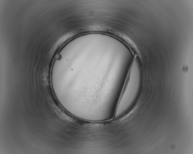 X0000096730930200803041219