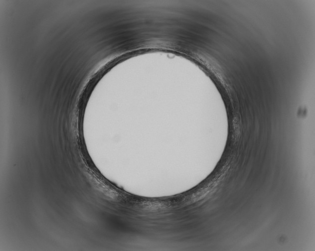 X0000096730931200803041220