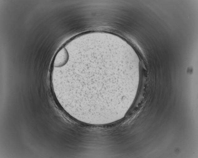 X0000096730932200803041220