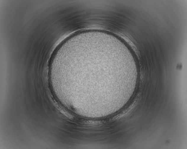 X0000096730933200803041220