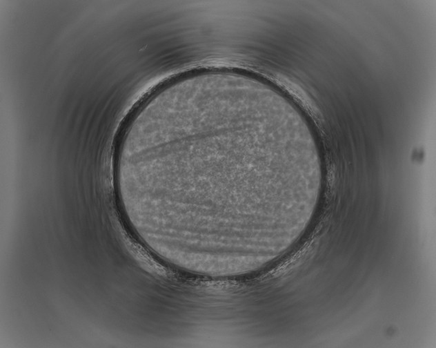 X0000096730934200803041220