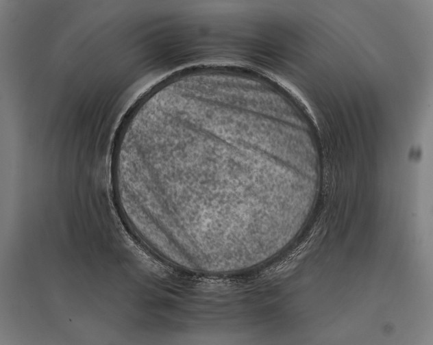 X0000096730935200803041220