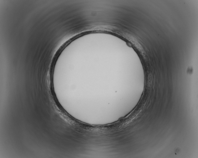 X0000096730936200803041220