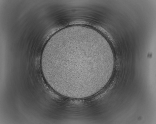 X0000096730937200803041220