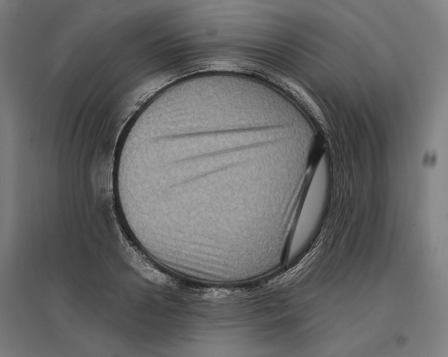 X0000096730938200803041220