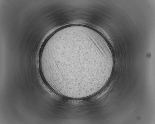 X0000096730939200803041220