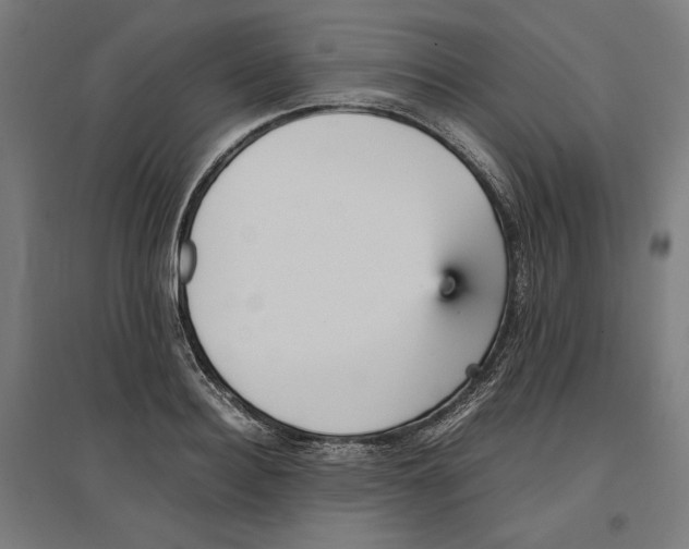 X0000096730940200803041220