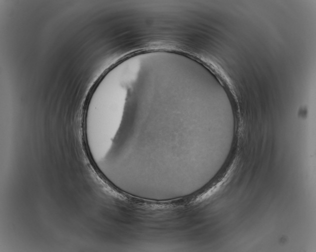 X0000096730941200803041220