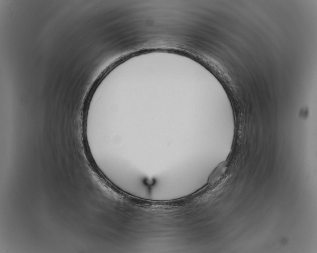 X0000096730942200803041220