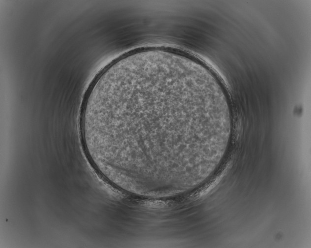 X0000096730943200803041220