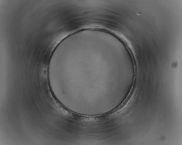 X0000096730945200803041220