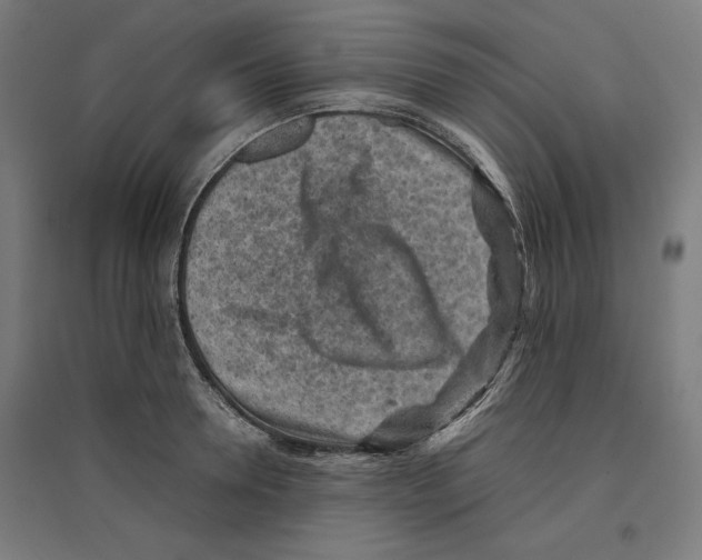X0000096730946200803041220