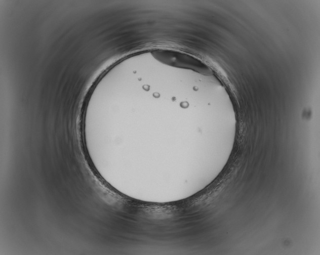 X0000096730947200803041220