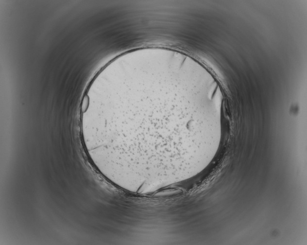X0000096730948200803041220