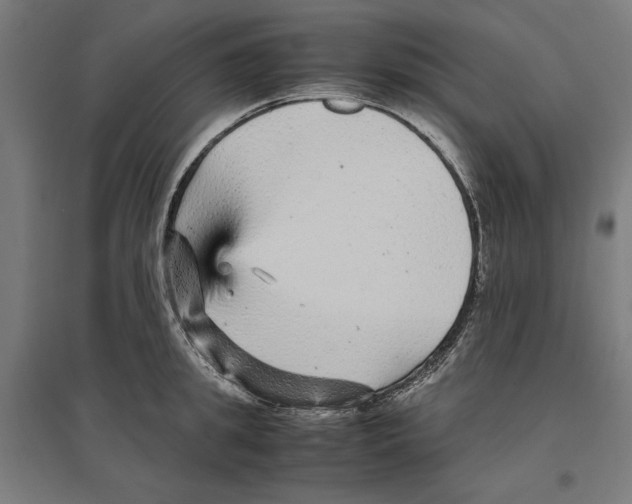 X0000096730949200803041220