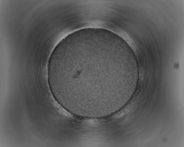 X0000096730950200803041220