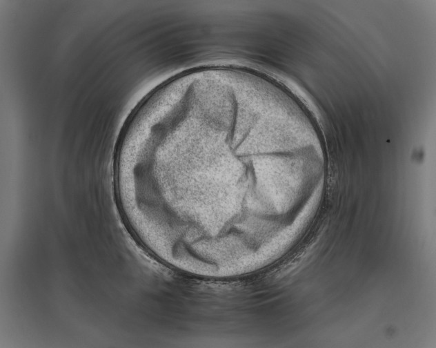 X0000096730951200803041220